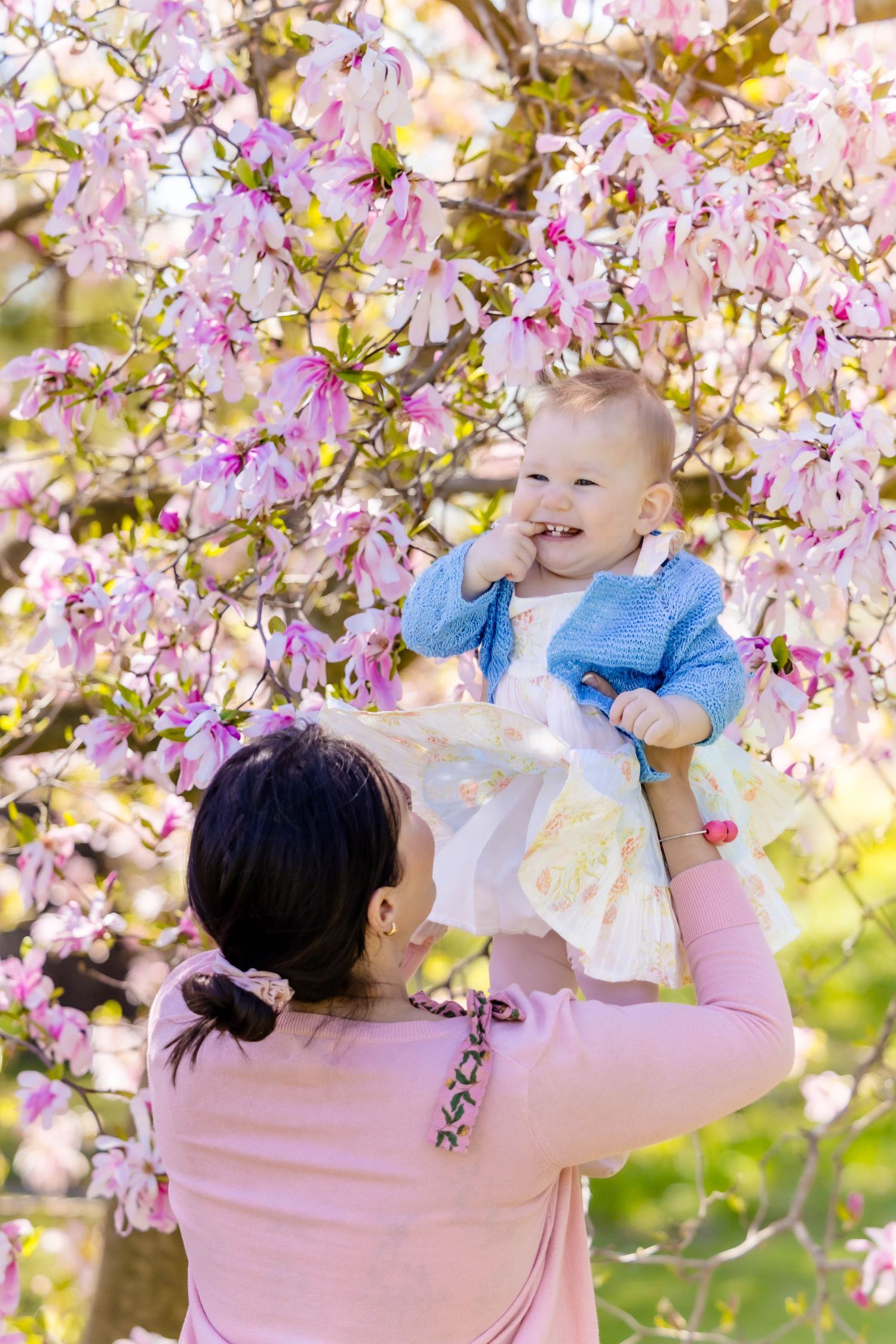 Playful interaction under pink cherry blossoms on a sunny spring day.