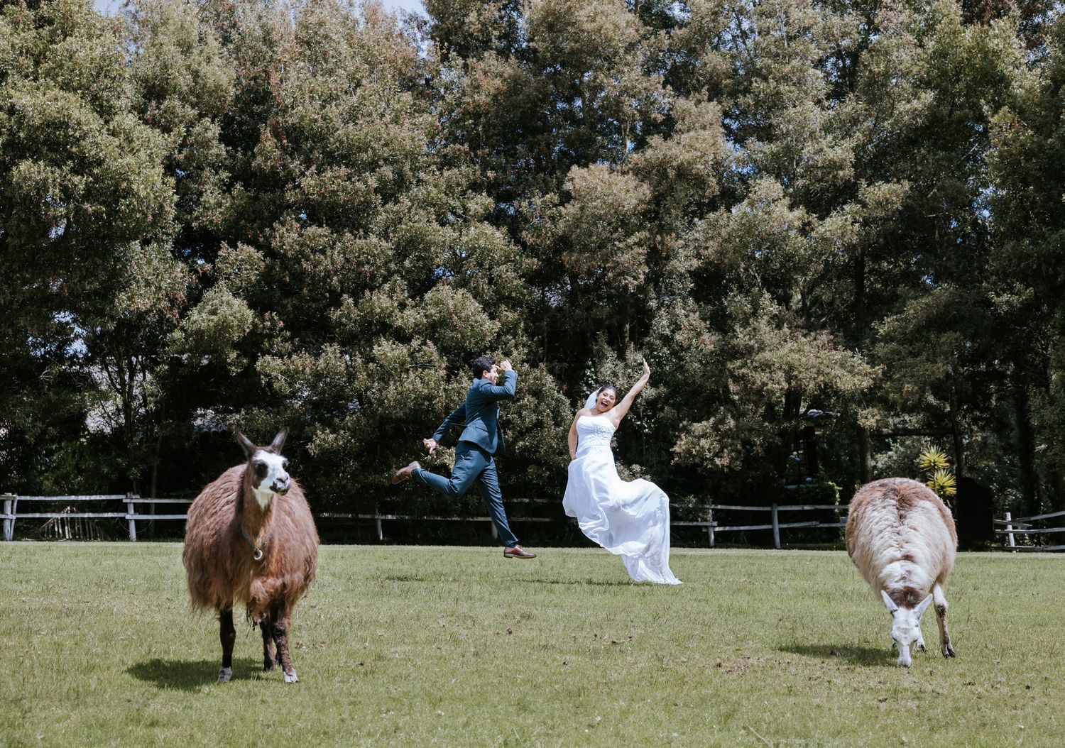 Fotógrafo de bodas en Quito, Ecuador – Capturando emociones reales e inolvidables