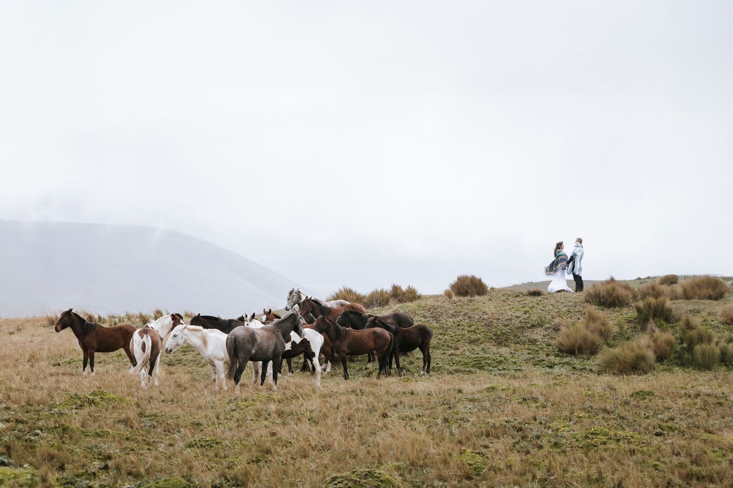 fotógrafo de bodas en Quito