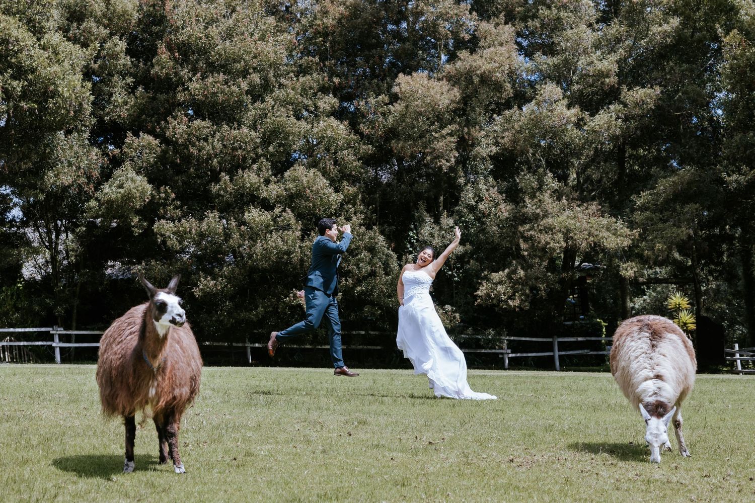 Fotógrafo de bodas en Quito, Ecuador – Capturando emociones reales e inolvidables