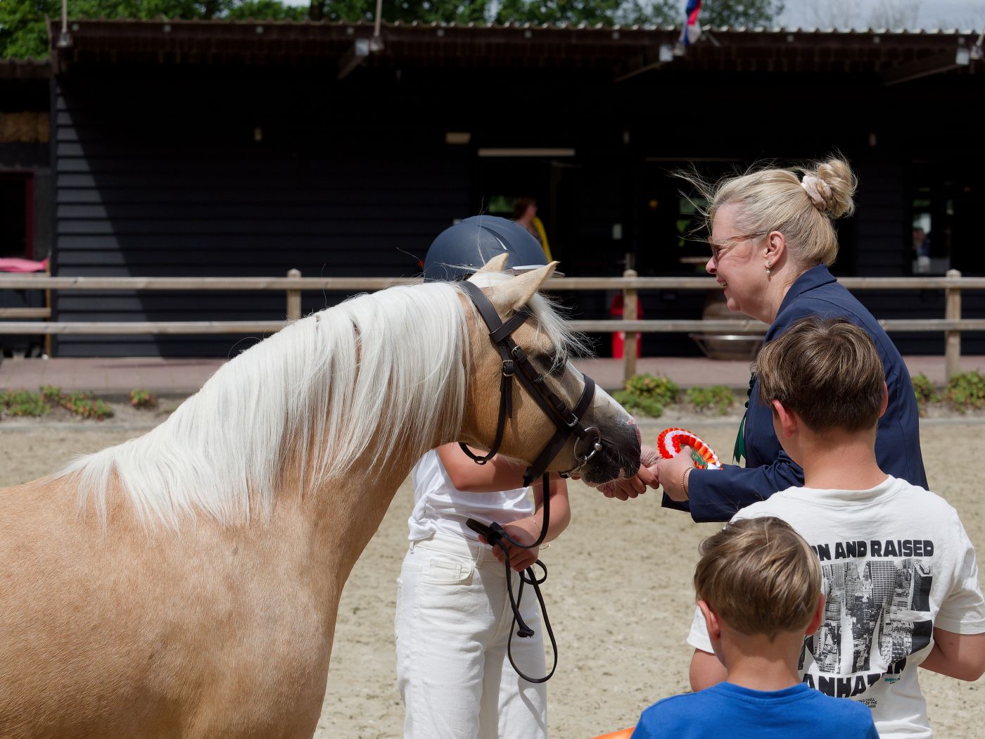Handlers showcase horses in a sandy arena during an equestrian competition event.