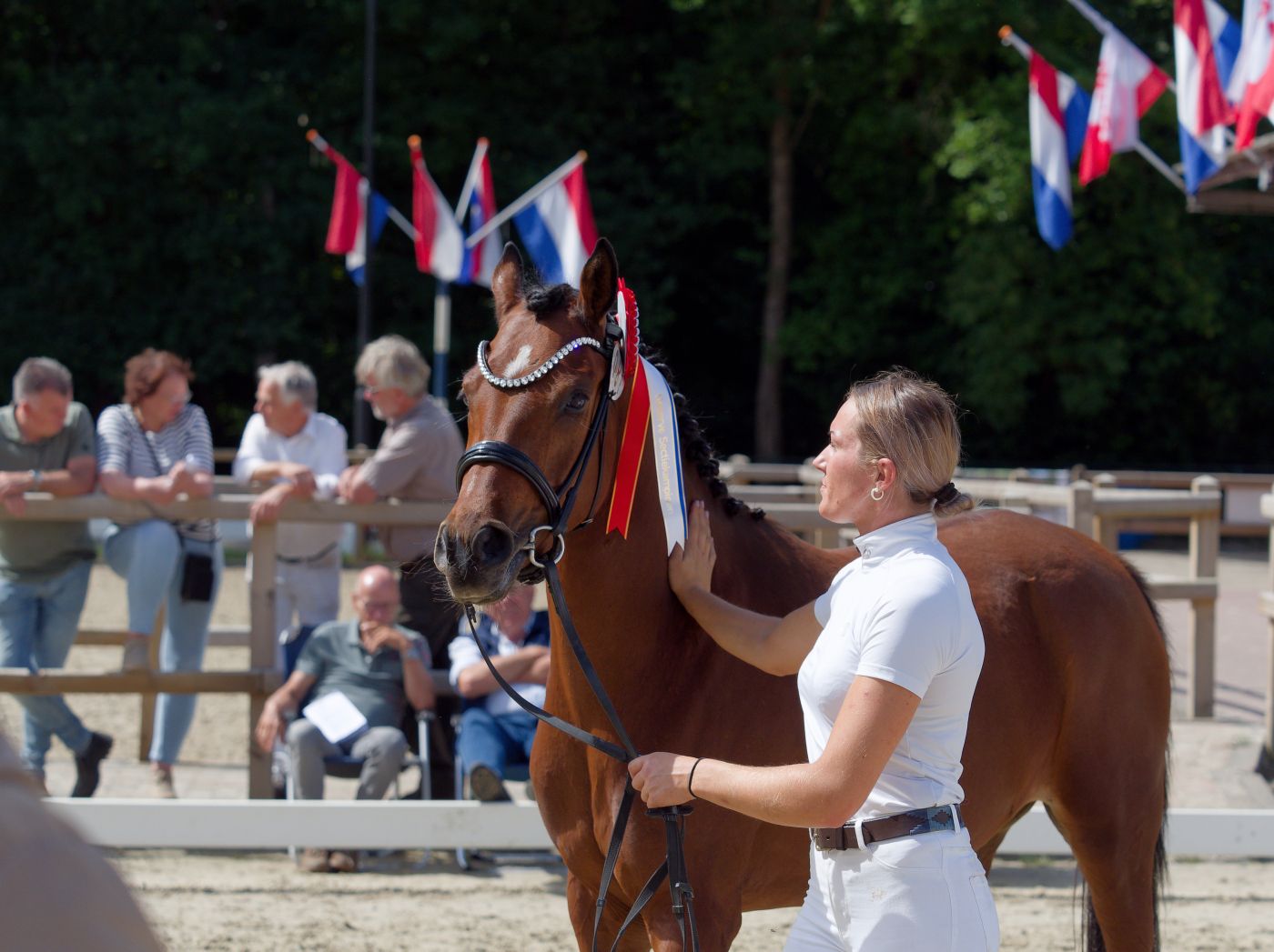 Handlers present their horses for evaluation at an outdoor equestrian competition.