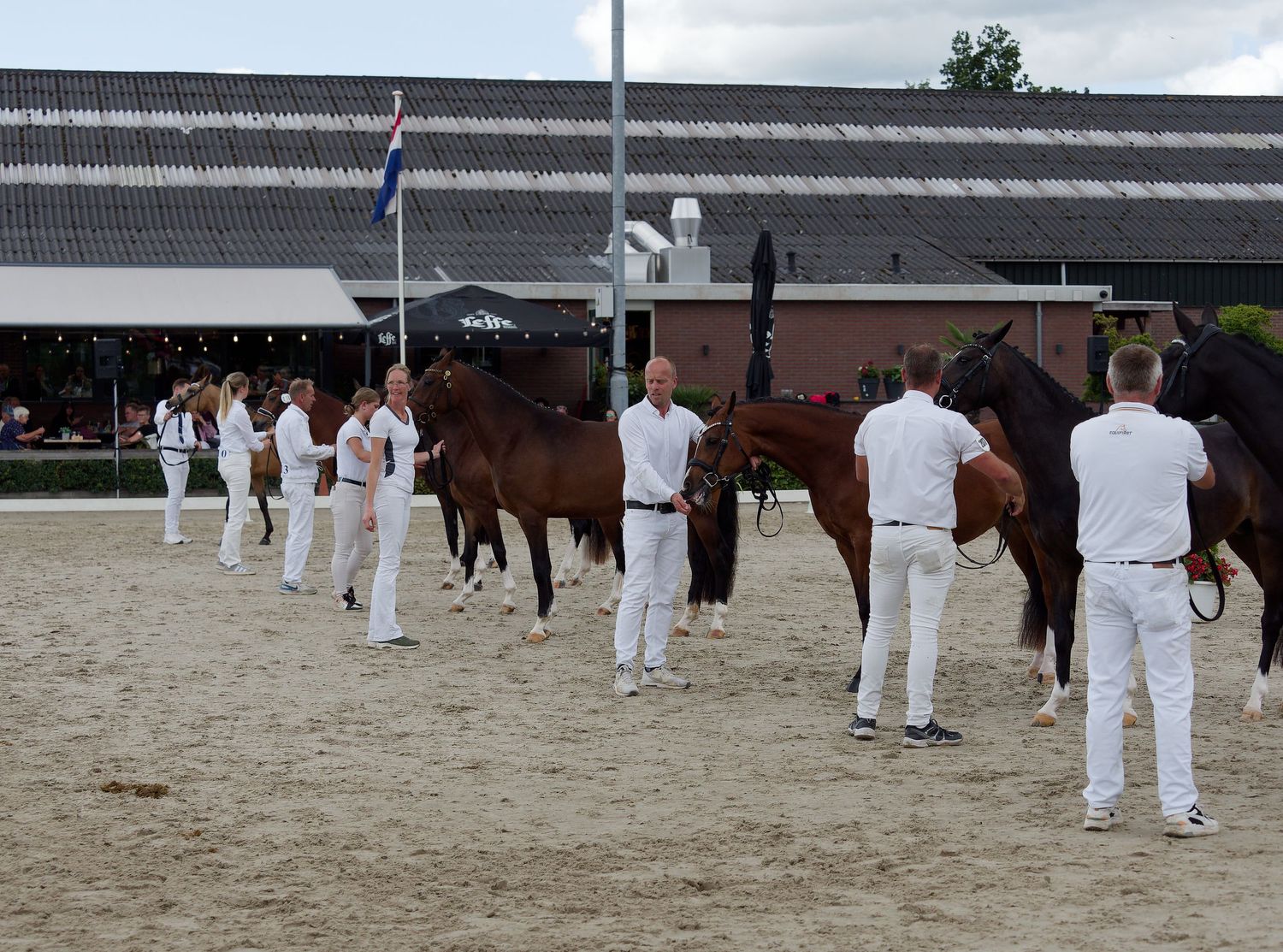 Wide view of horse show arena with handlers in white uniforms presenting their horses.