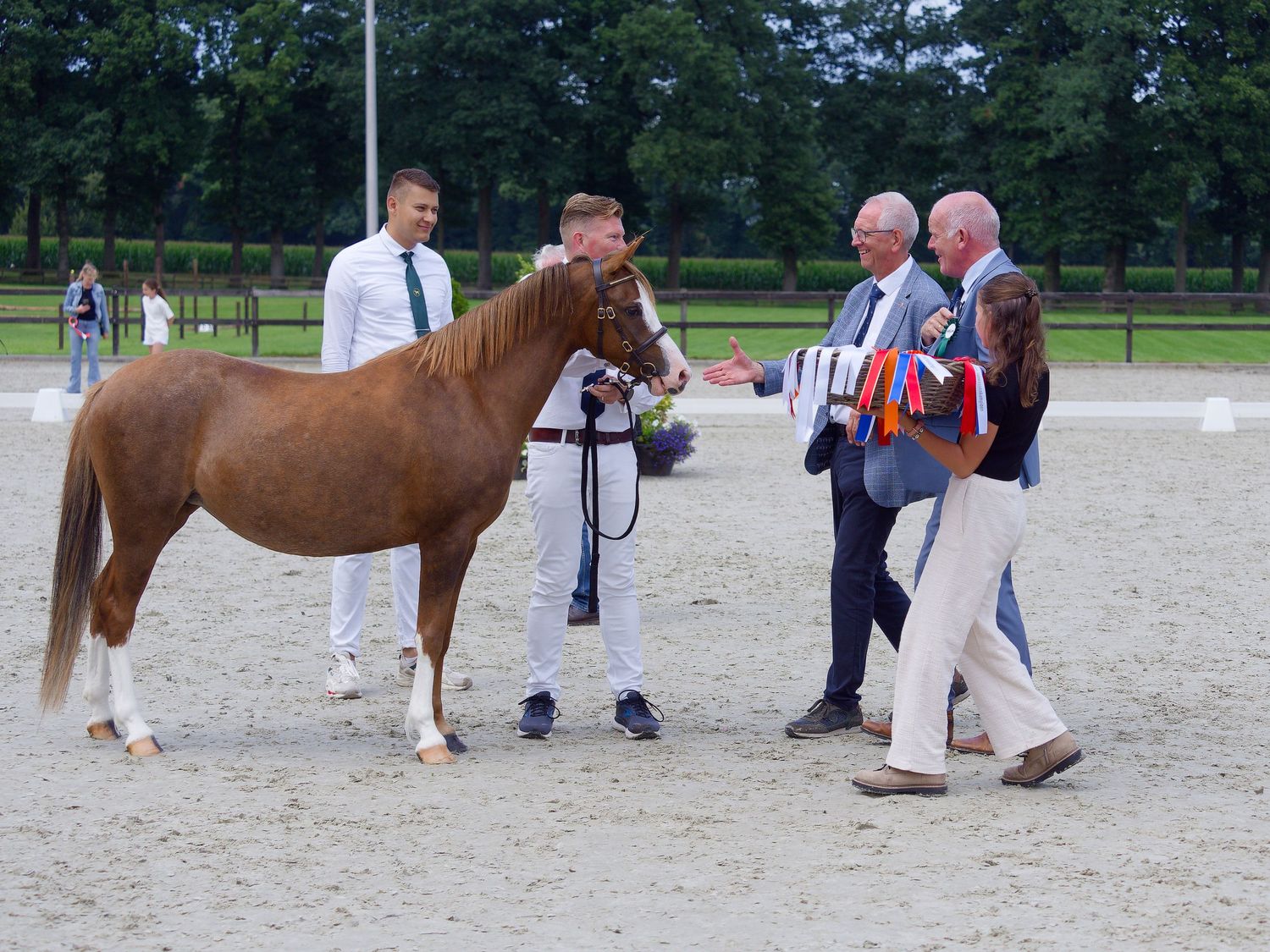 Multiple horses and handlers gathered in a sandy show ring during an equestrian event.