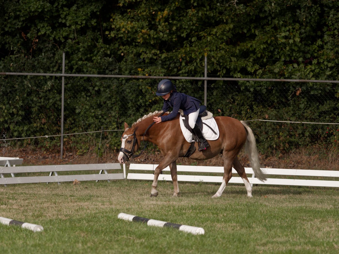 A horse and rider navigate through white markers during a bixie competition in a grassy arena.