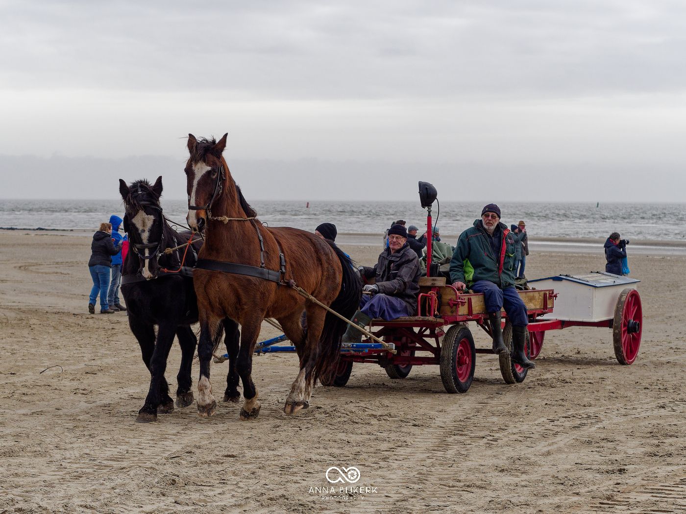 A horse-drawn carriage ride along a misty beach with people enjoying a scenic coastal experience.