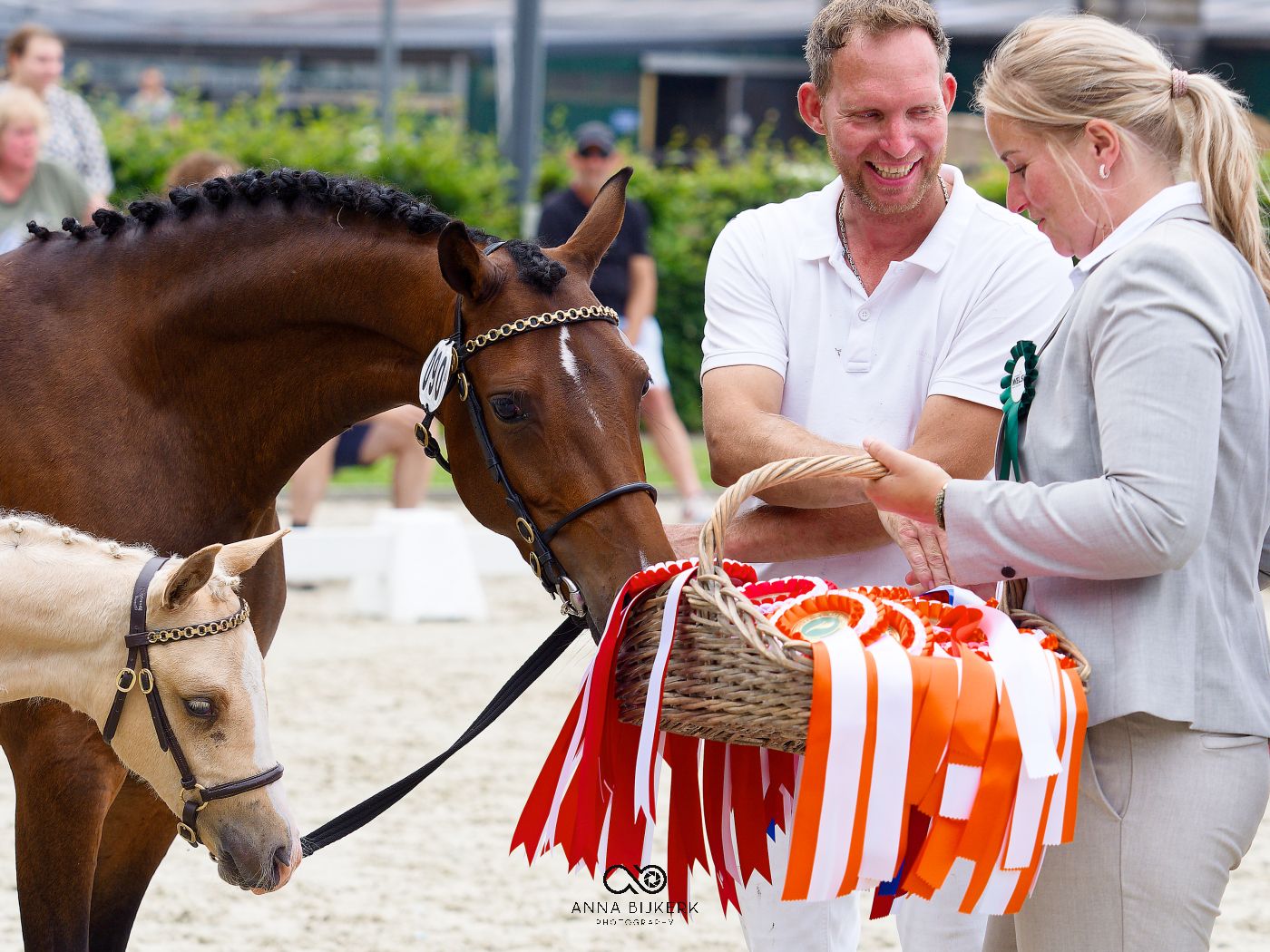 Horse receiving awards and ribbons at a competition ceremony.