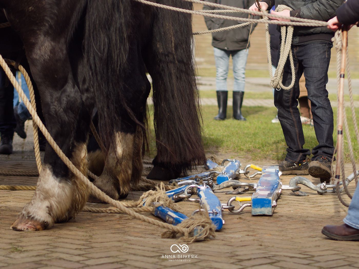 Several empty beer cans scattered on the ground near a horse's hooves at an outdoor event.