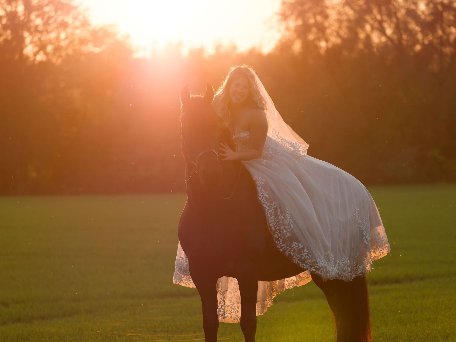 Silhouette of horses and people in a field at golden sunset creating a dreamy atmosphere.