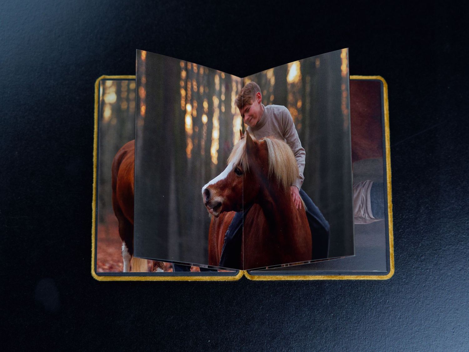A golden book opens to reveal dramatic scenes from a movie or film in a dark setting.
