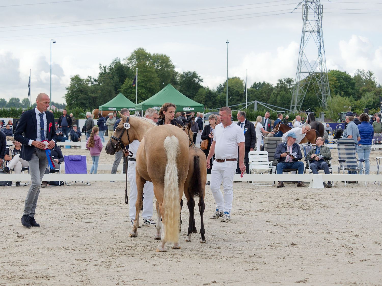 Horses and handlers line up in a sandy outdoor arena during an equestrian event.