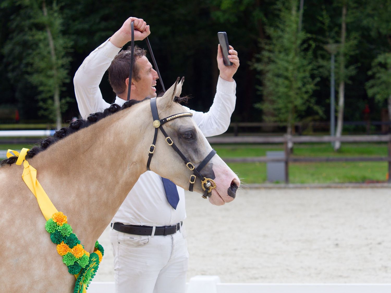 Handlers showcase horses wearing colorful ribbons during an outdoor equestrian presentation.