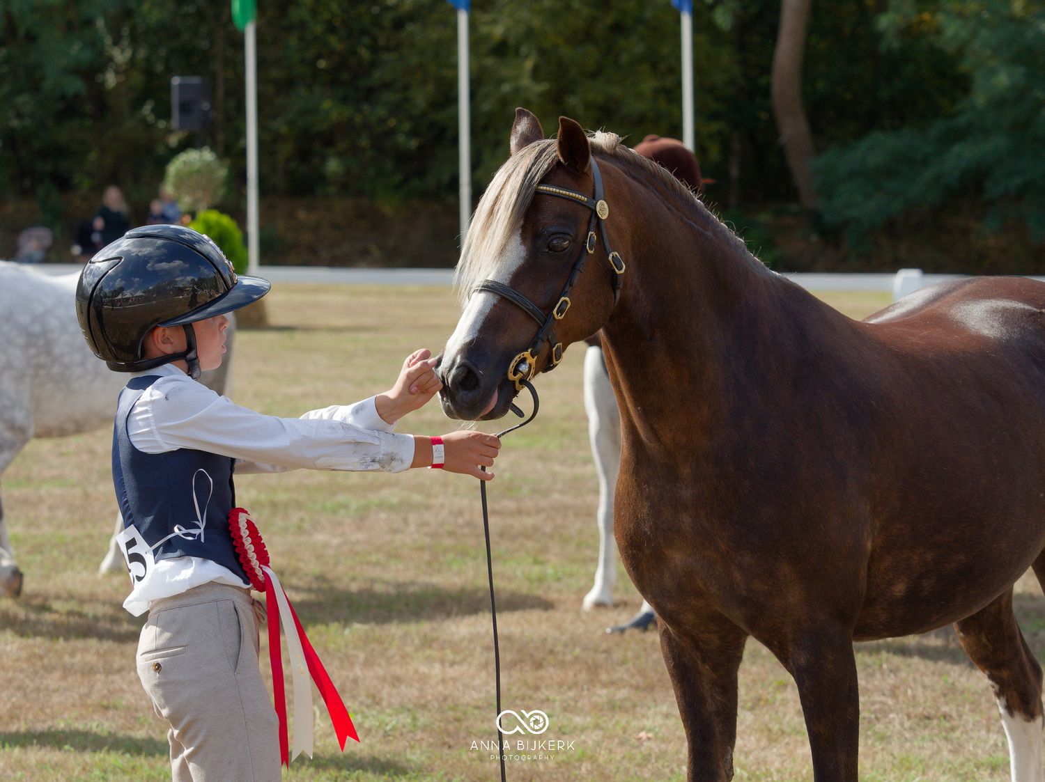 Young equestrian rider in helmet petting a chestnut horse with red ribbon at an outdoor horse show.
