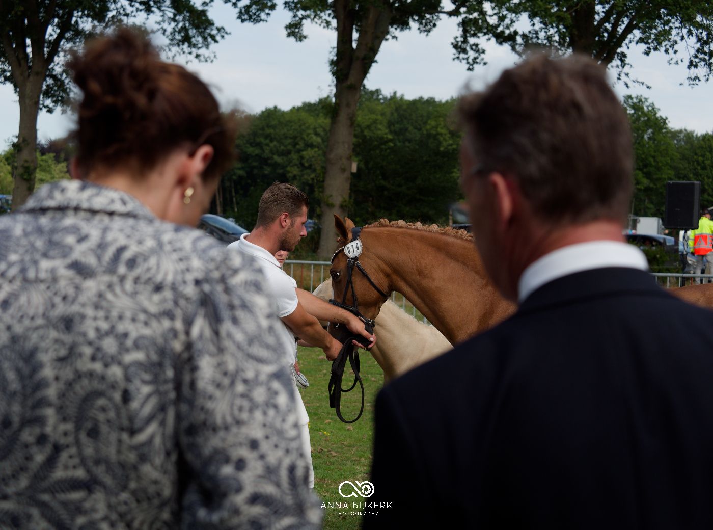 Spectators watch horses being presented at an outdoor equestrian event.