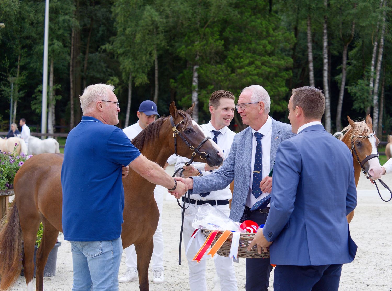 Handlers and spectators gather around horses during an outdoor equestrian event.