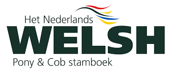 A row of language learning organization logos including Dutch, Welsh, and other text in different colors.