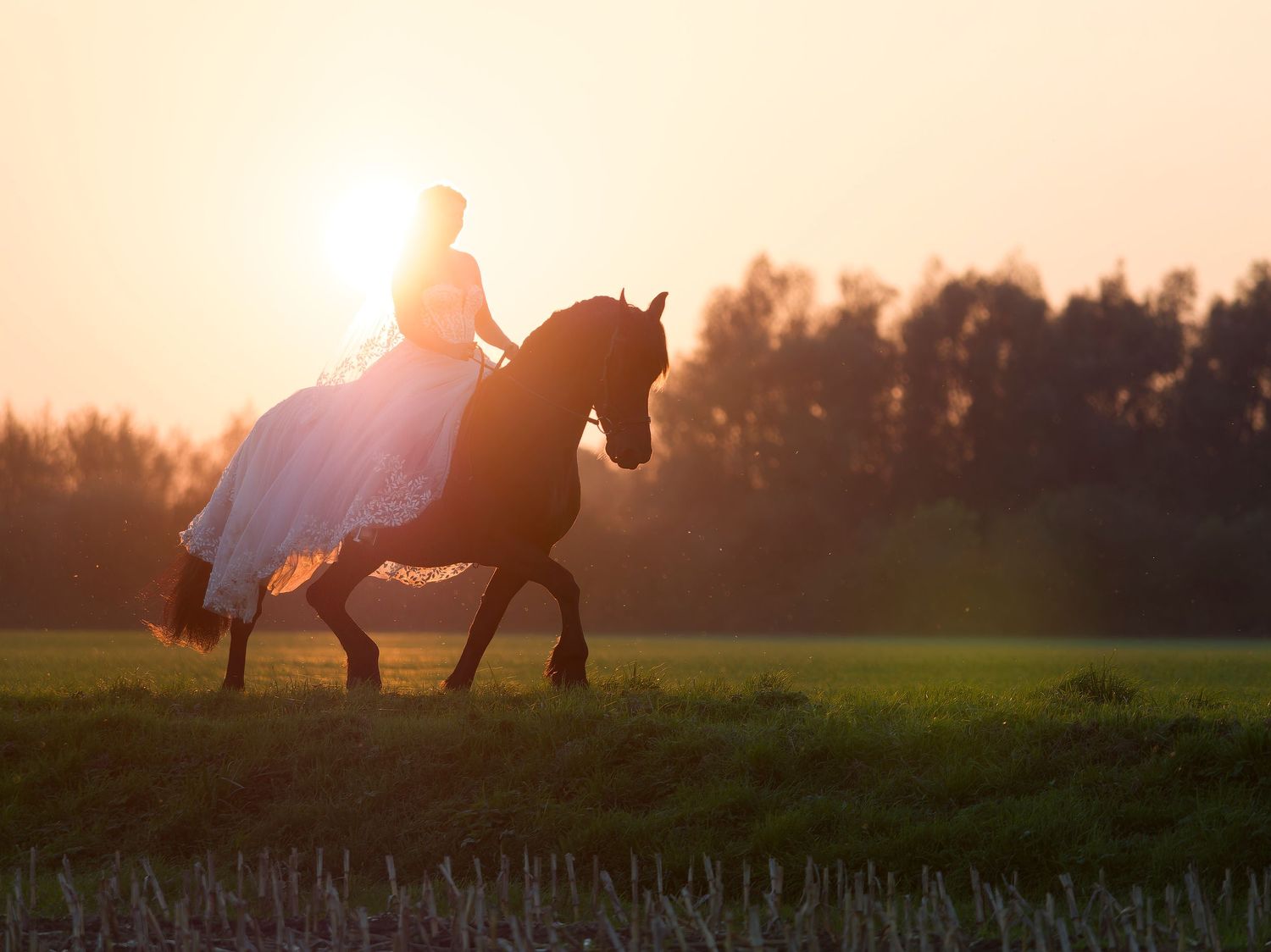 Horse and rider silhouetted against sunset in countryside landscape.