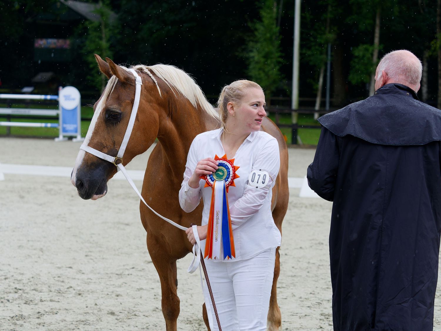 Handlers present horses at an outdoor equestrian event in a sandy arena surrounded by trees.