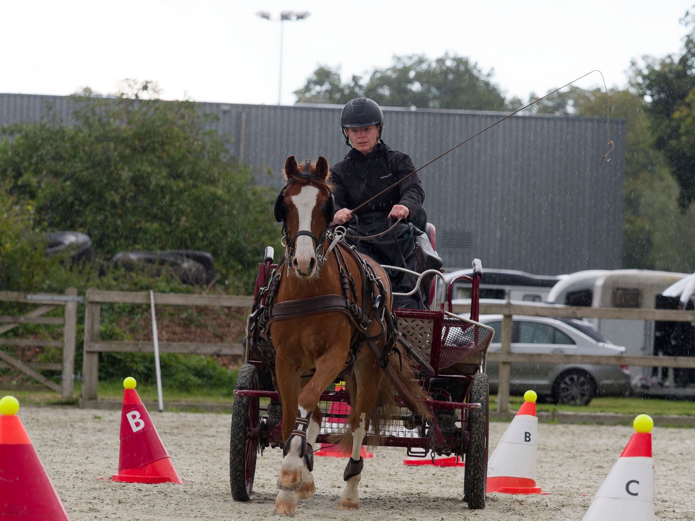 Equestrian carriage driver guiding horse through a series of cone obstacles during competition.