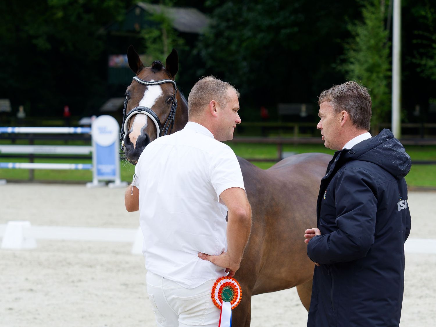 Horse being presented to judges at outdoor dressage competition.