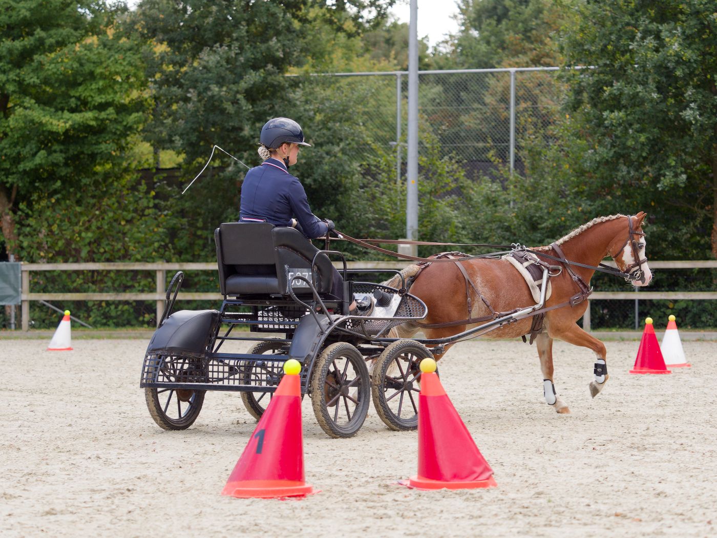 Horse-drawn carriage competing in an obstacle course with red cones in an outdoor arena.