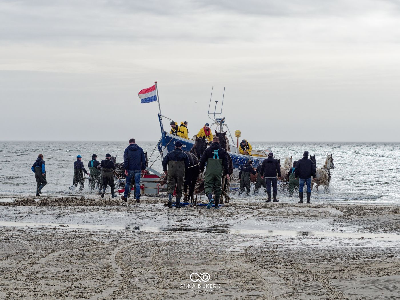 A group of people gather on a cold beach watching a winter swimming event with a Dutch flag flying in the background.