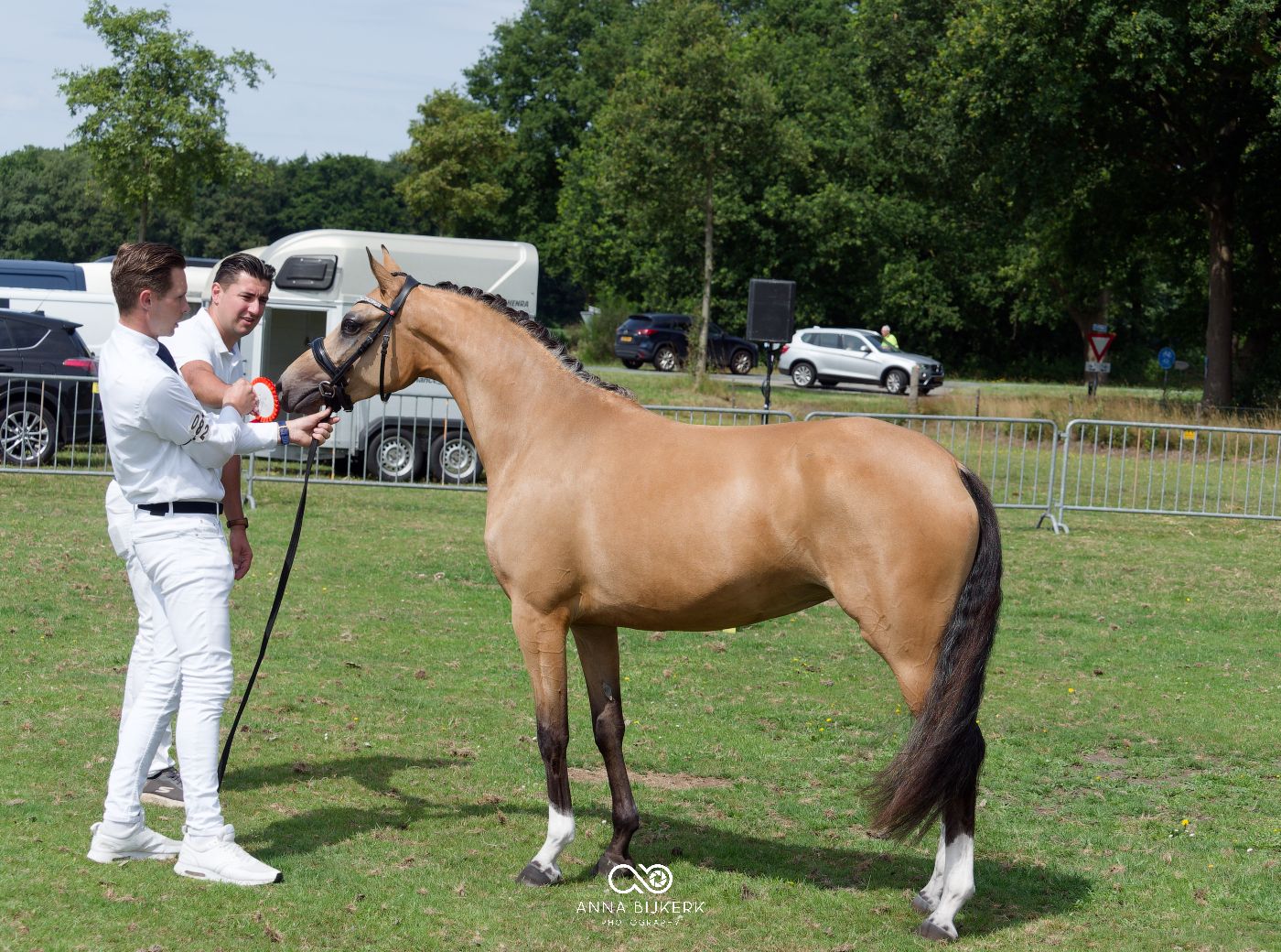 Handlers in white attire present their horses for judging at an outdoor show.