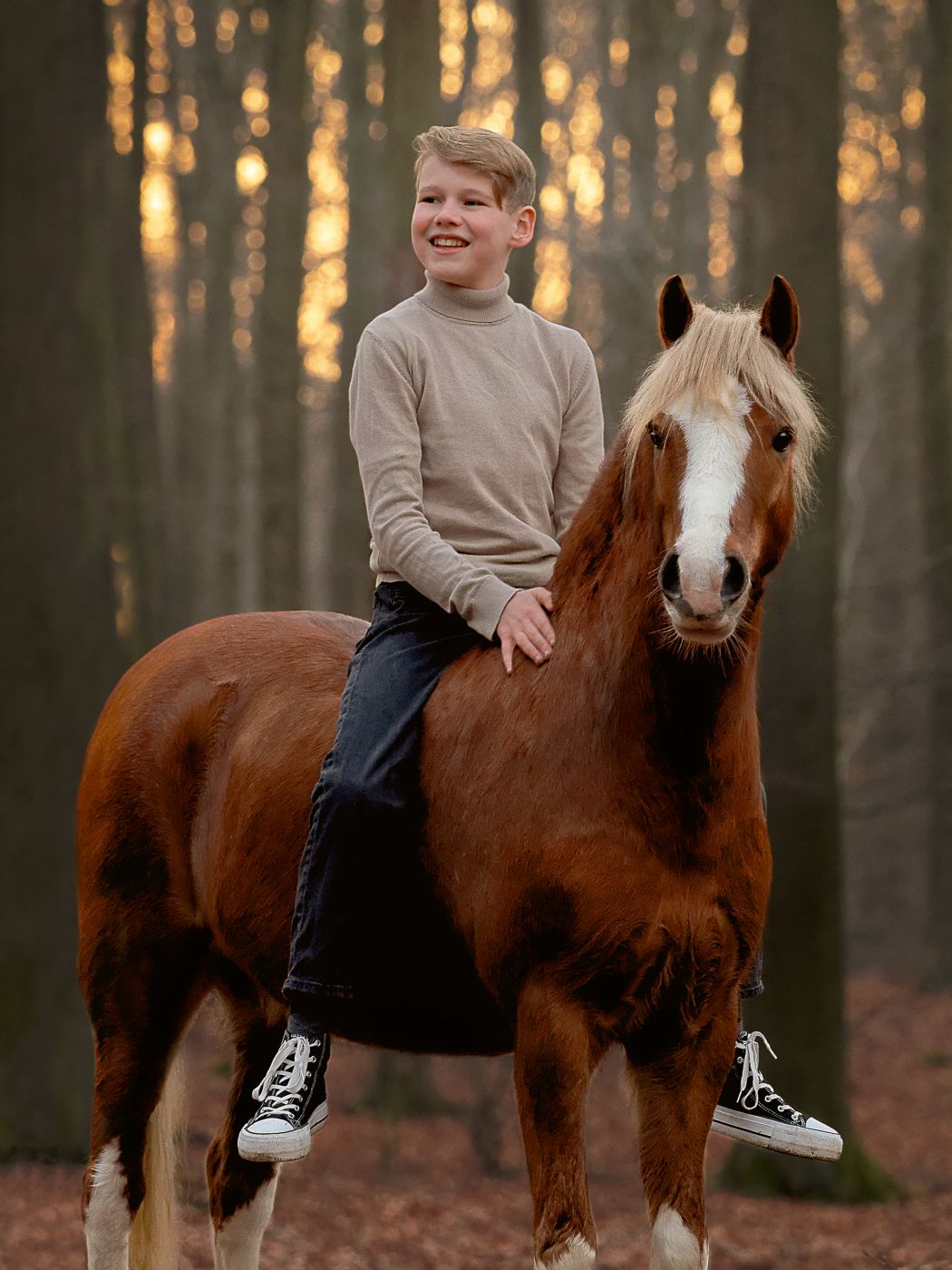 A brown horse with white markings stands with someone in a forest during golden hour.