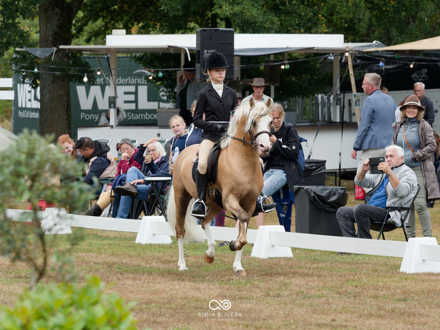 Rider on palomino horse performing at WEL Pony Stamboek show event with spectators watching outdoors.
