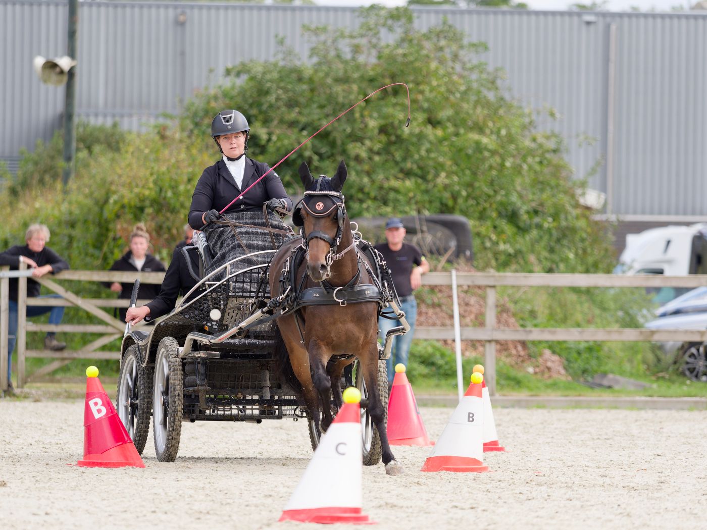 Competitive carriage driving event showing horse and driver navigating through red and white cones.