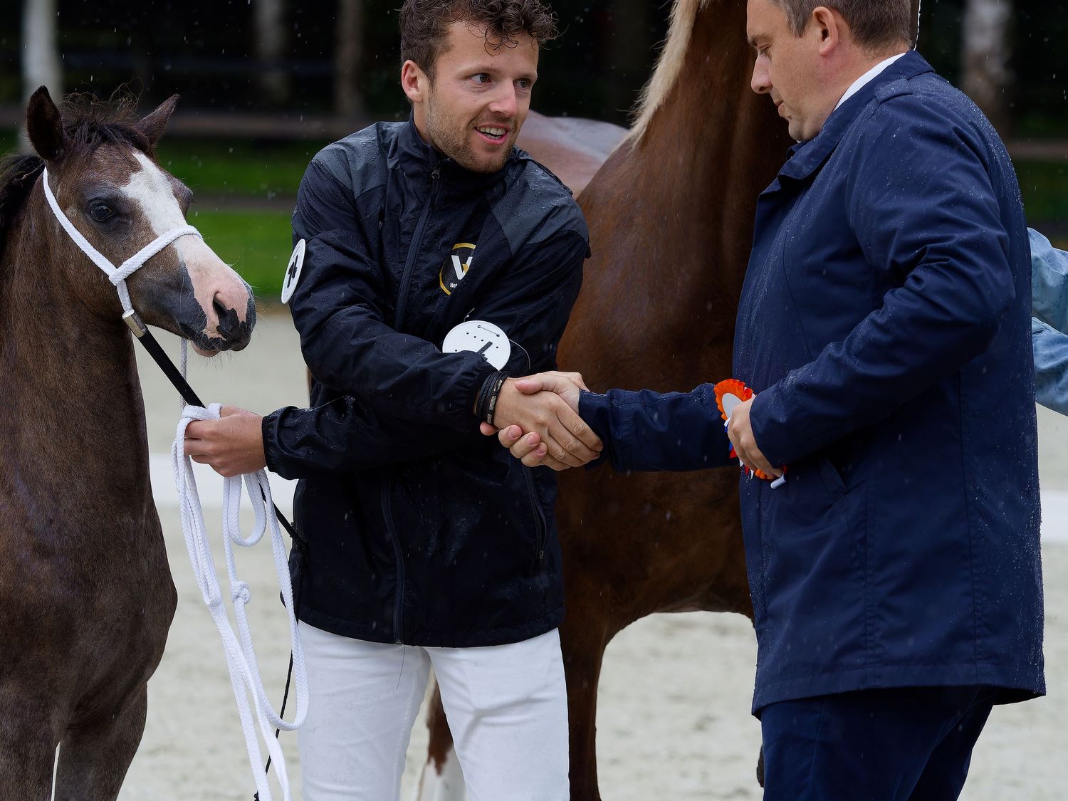 Handlers exchanging congratulations at equestrian event with horse in background.