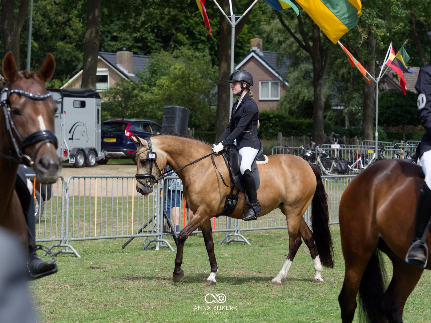 Multiple horses being shown in an outdoor arena with metal barriers and flags in the background.