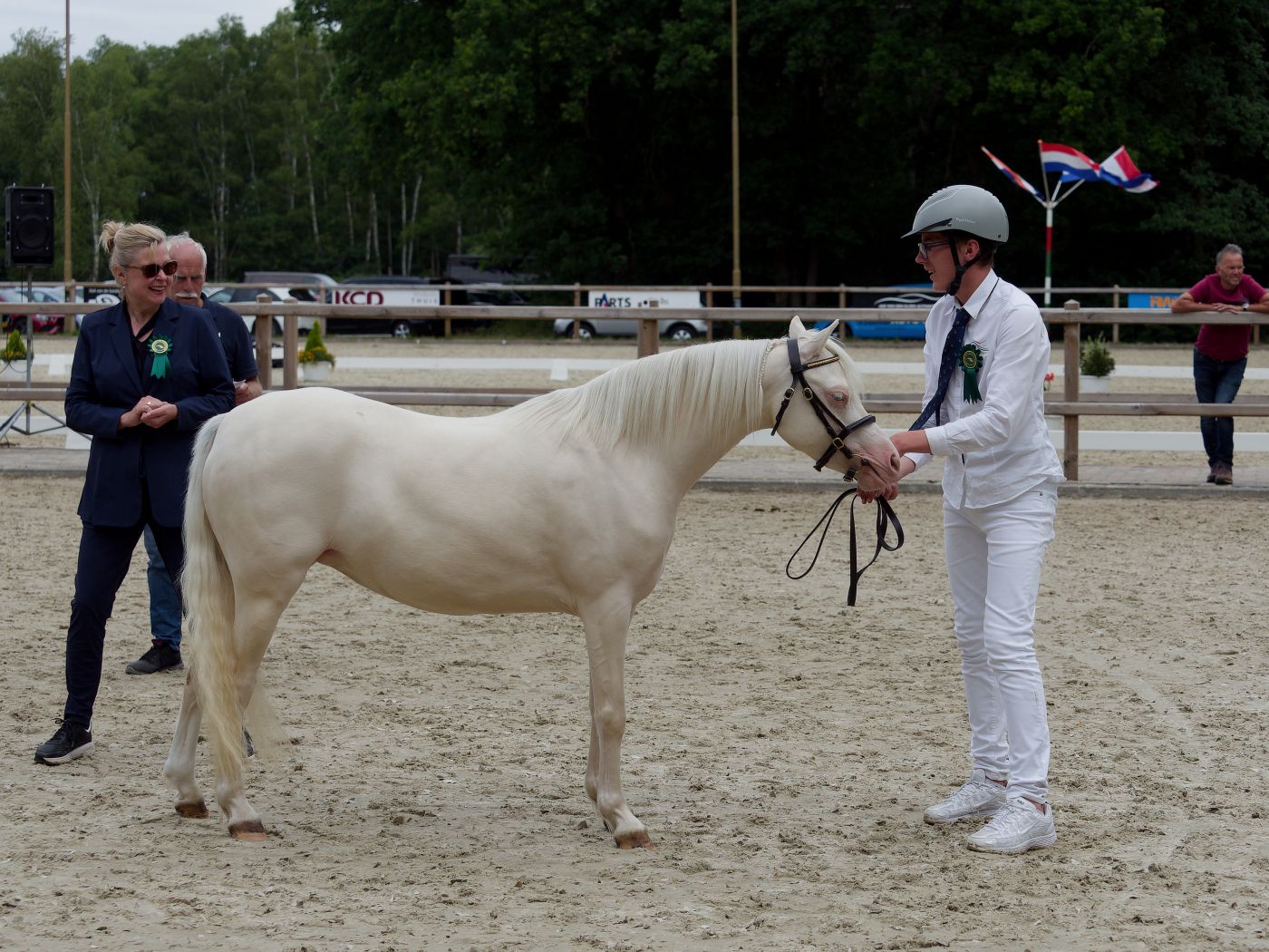Light-colored horses are led by handlers in white attire during a formal horse show presentation.