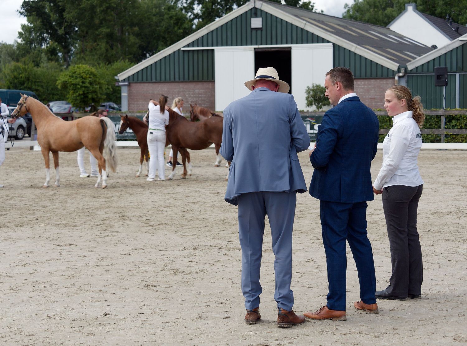 People gather around a sandy equestrian arena to observe horse evaluations.