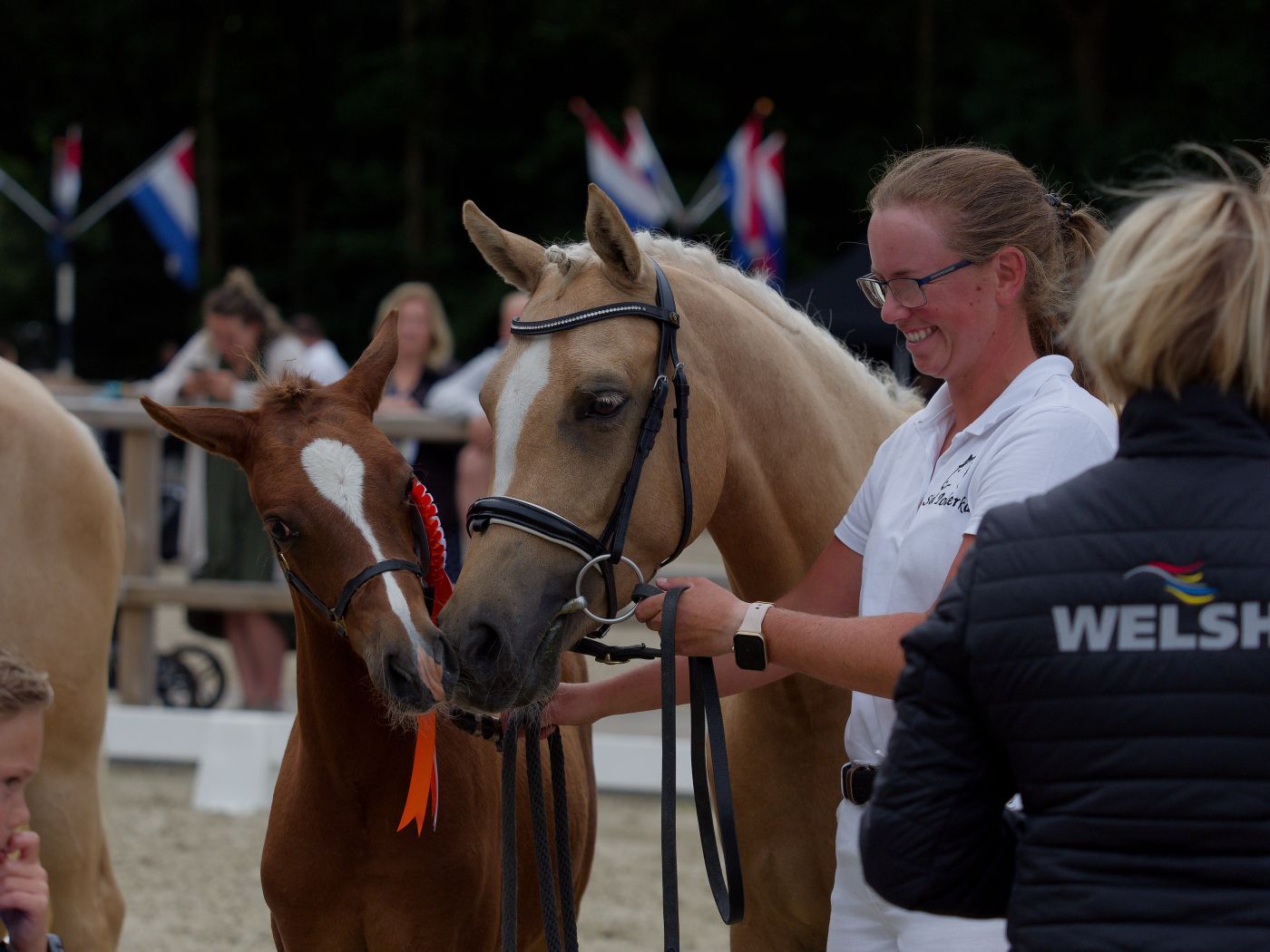 Several horses being judged at an equestrian show event with handlers and spectators in attendance.
