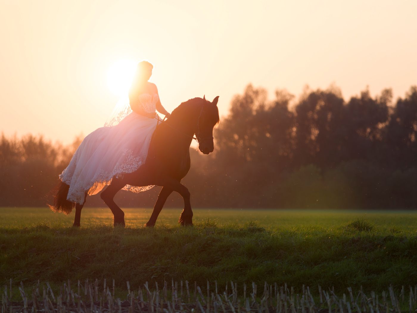 A woman in a white dress rides a dark horse through a misty green field at golden sunset.