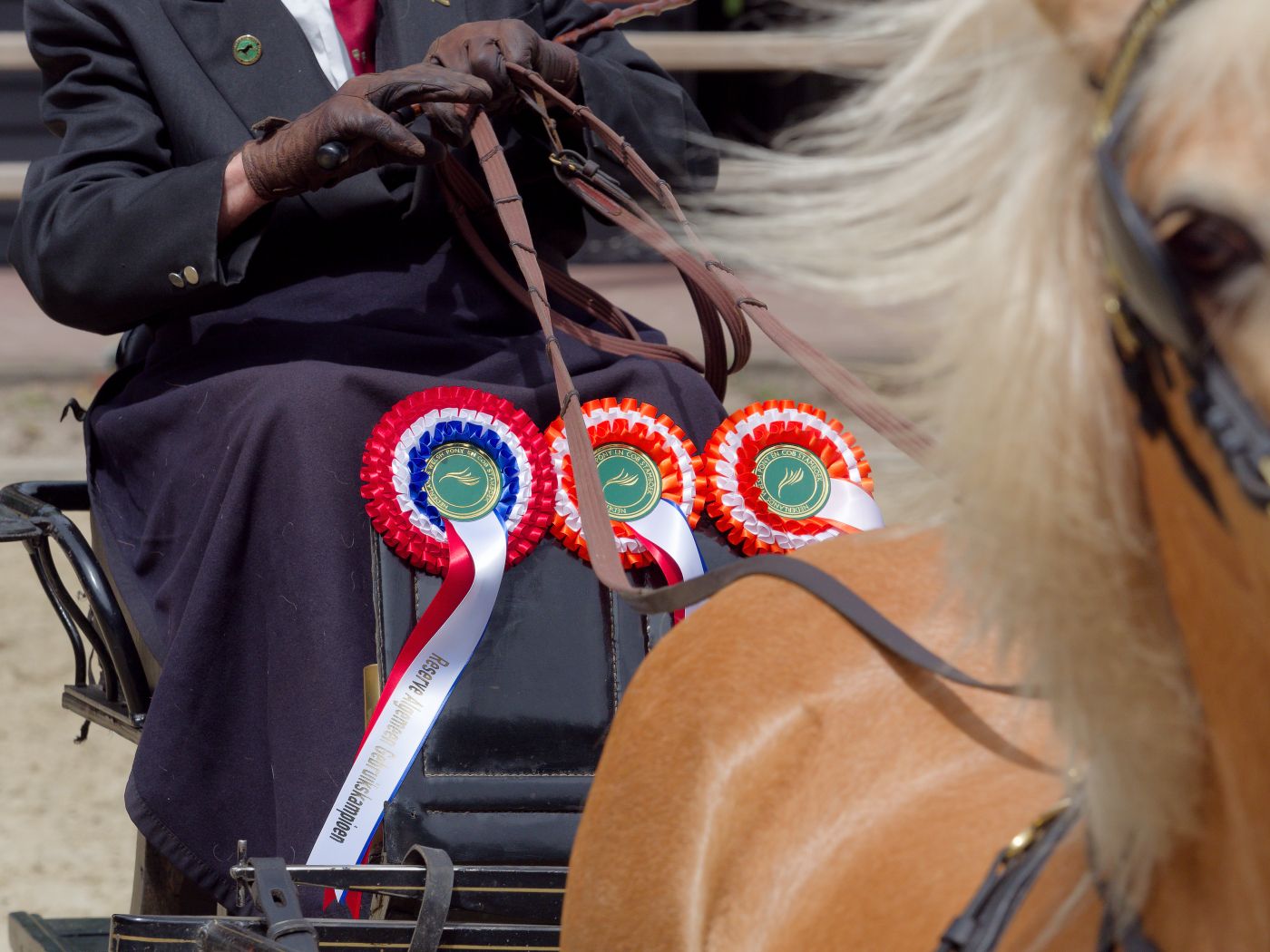 Decorative patriotic rosettes and ribbons displayed on horse show equipment.
