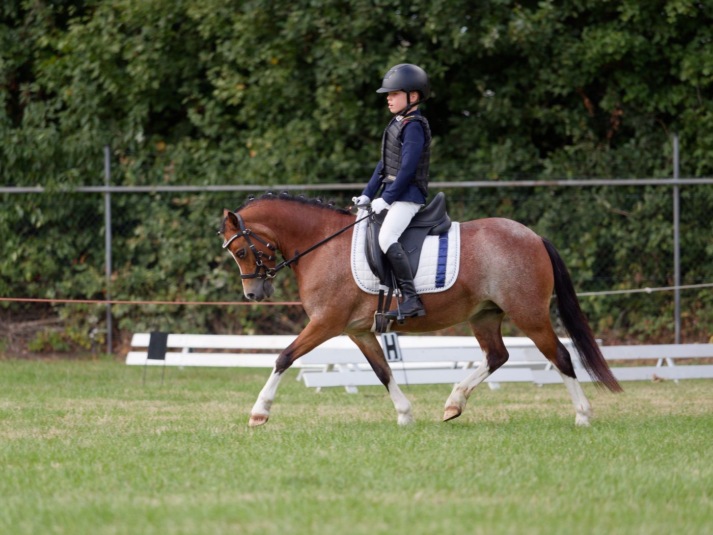 Equestrians perform dressage exercises on a fenced grass arena during training.