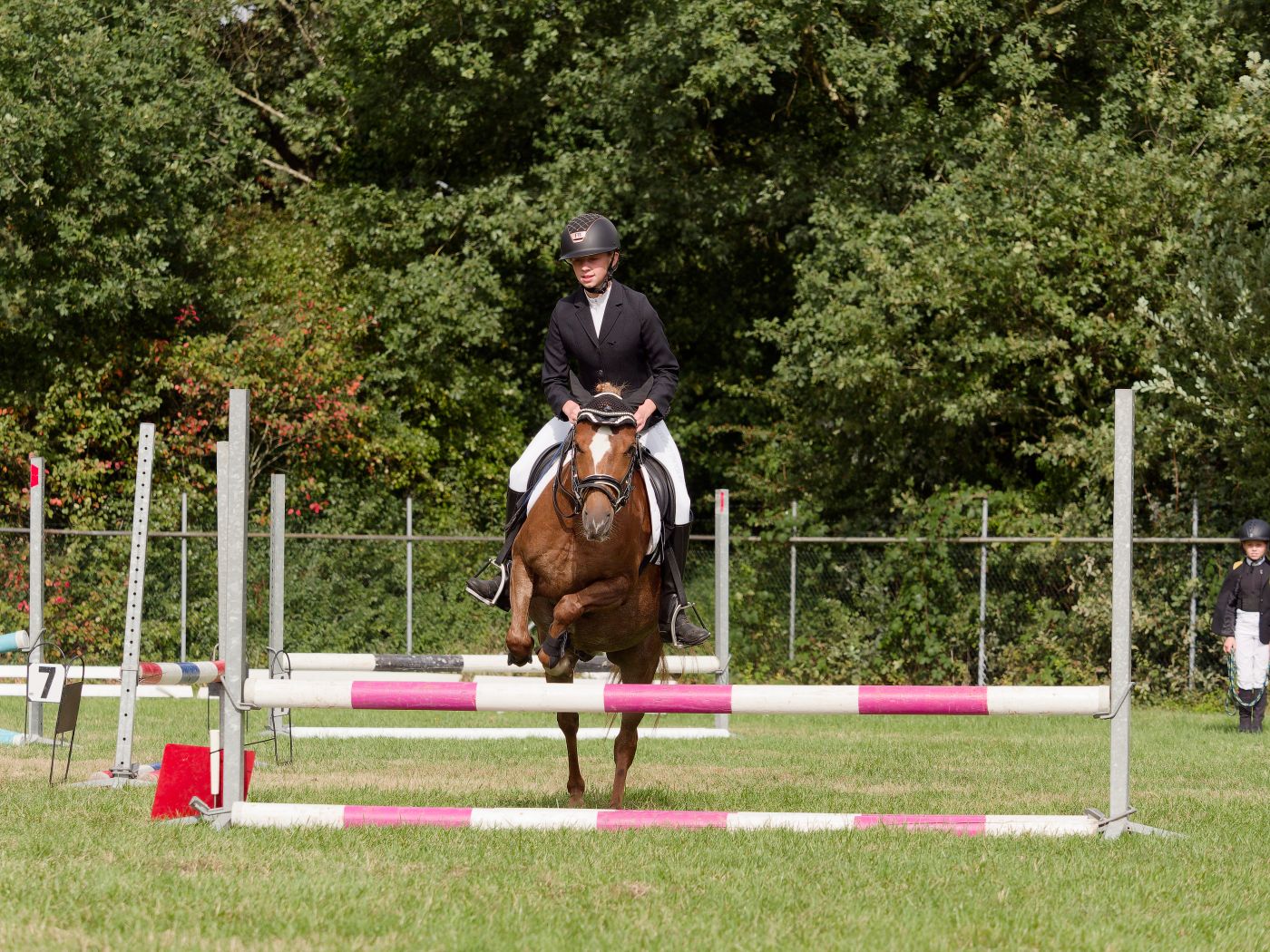 Horse and rider competing on show jumping course with multiple colorful obstacles.