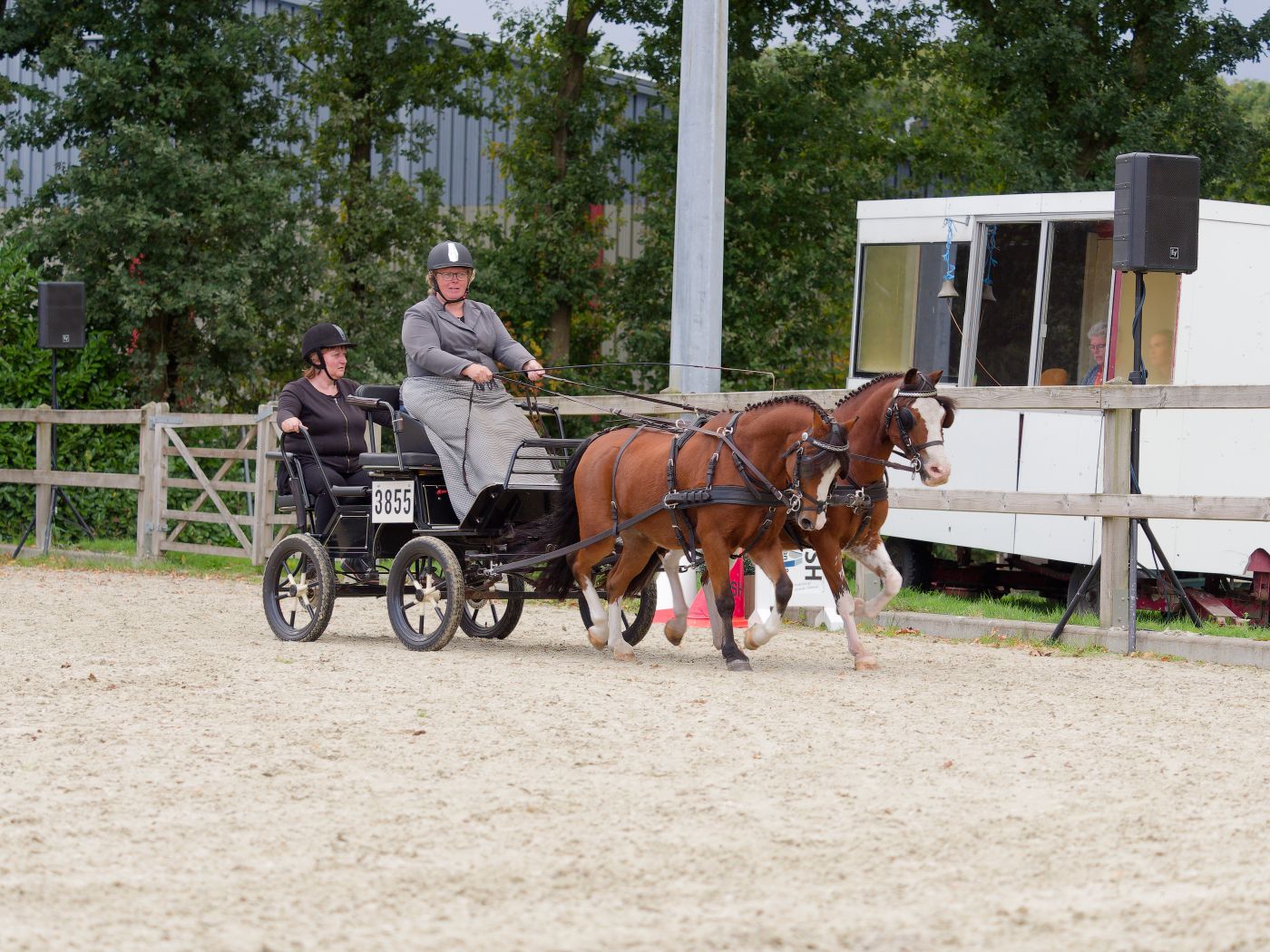 Competitive carriage driving event showing horse and cart maneuvering through obstacle course.