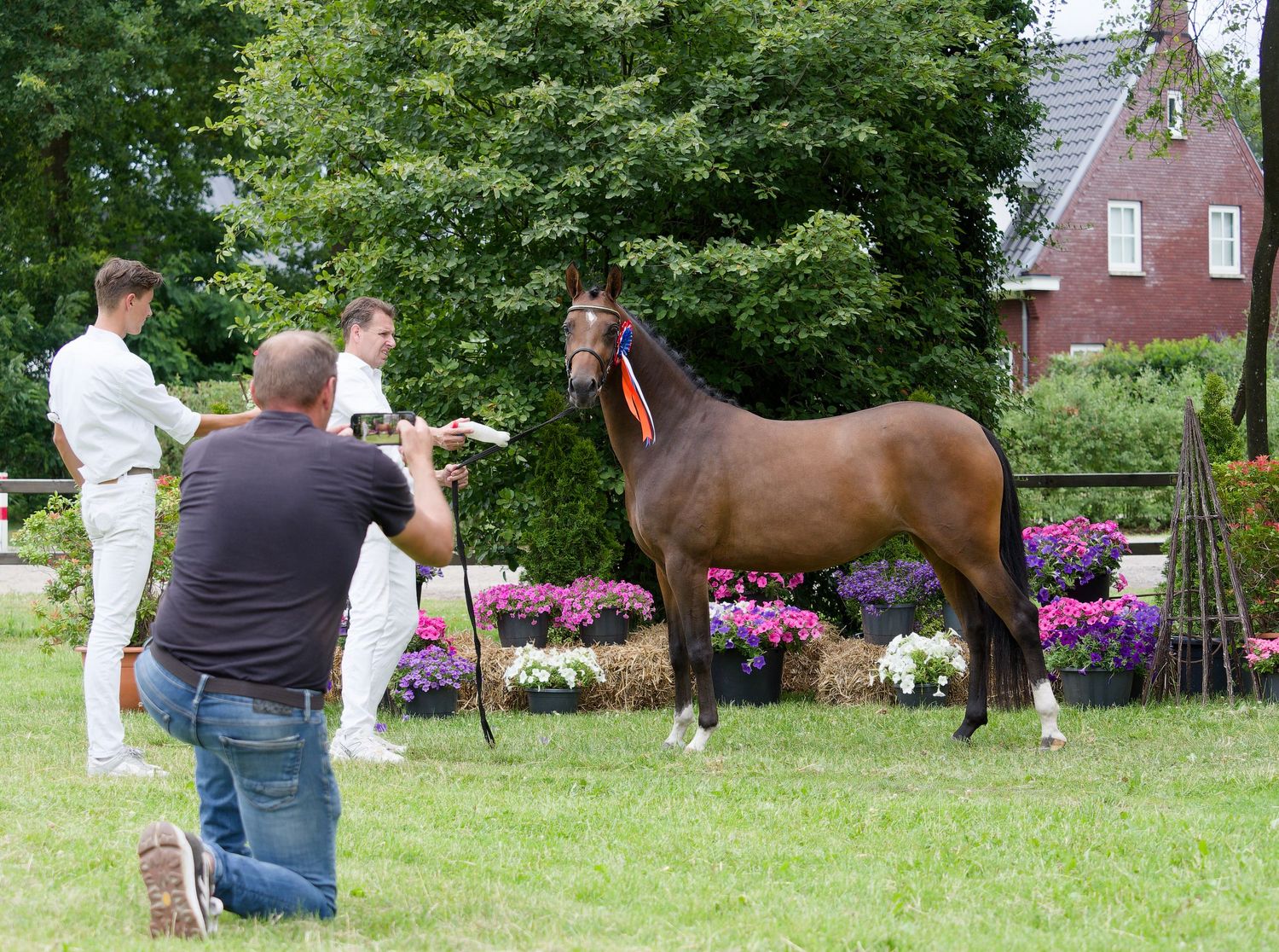 Rooskamps Ma Belle reserve dagkampioen van de NWPCS 2026 regionale keuring in Hellendoorn. Gefotografeerd door Anna Bijkerk Photography.