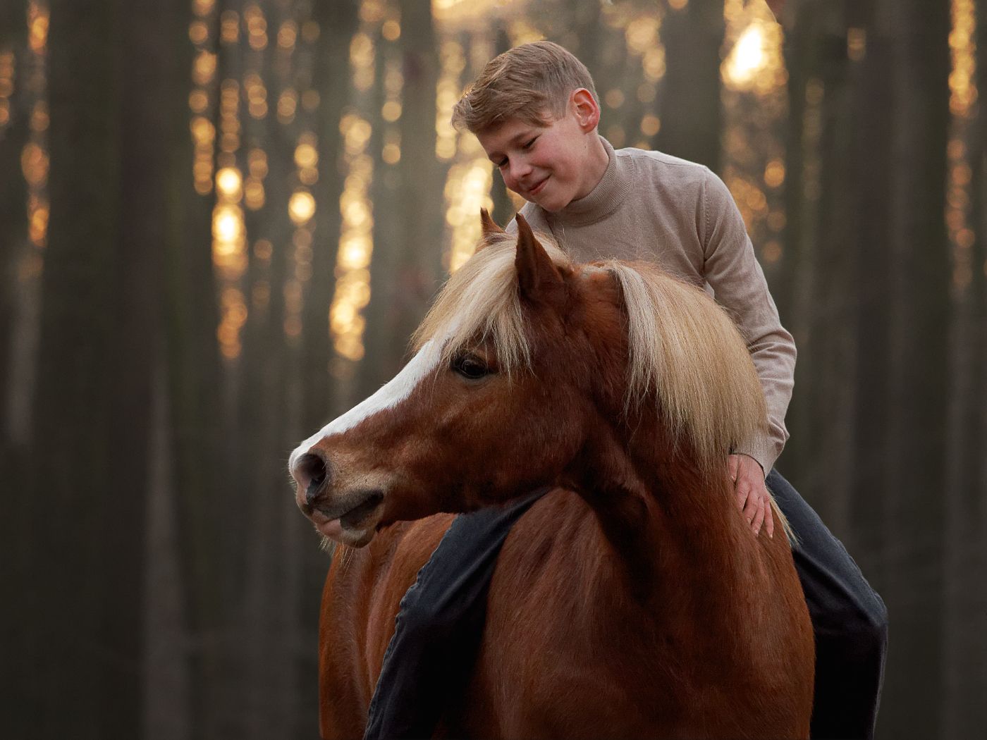 A young blonde boy rides a chestnut horse with a flowing mane in a sunlit forest setting.