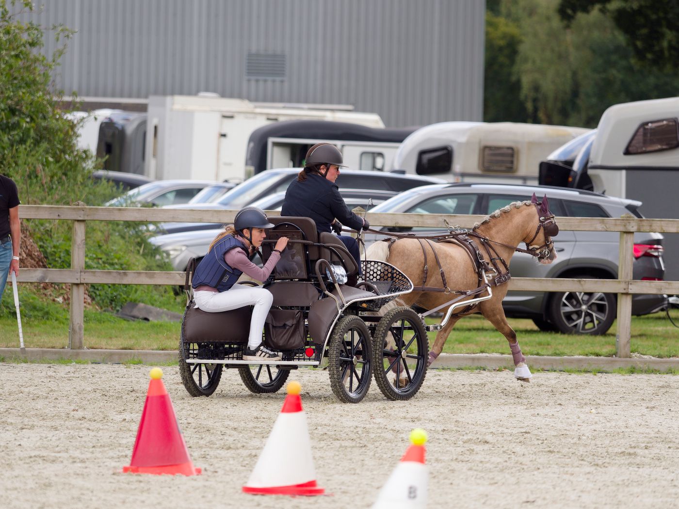 Carriage driving competition featuring a horse navigating through cone obstacles on a sandy course.