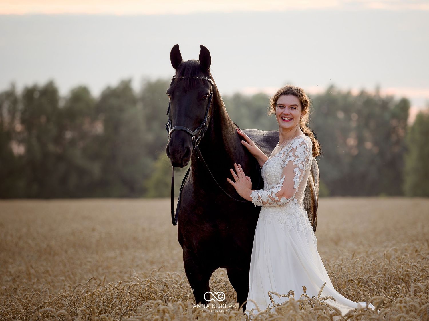 Bride in white lace gown standing beside a dark brown horse in a golden wheat field at sunset.