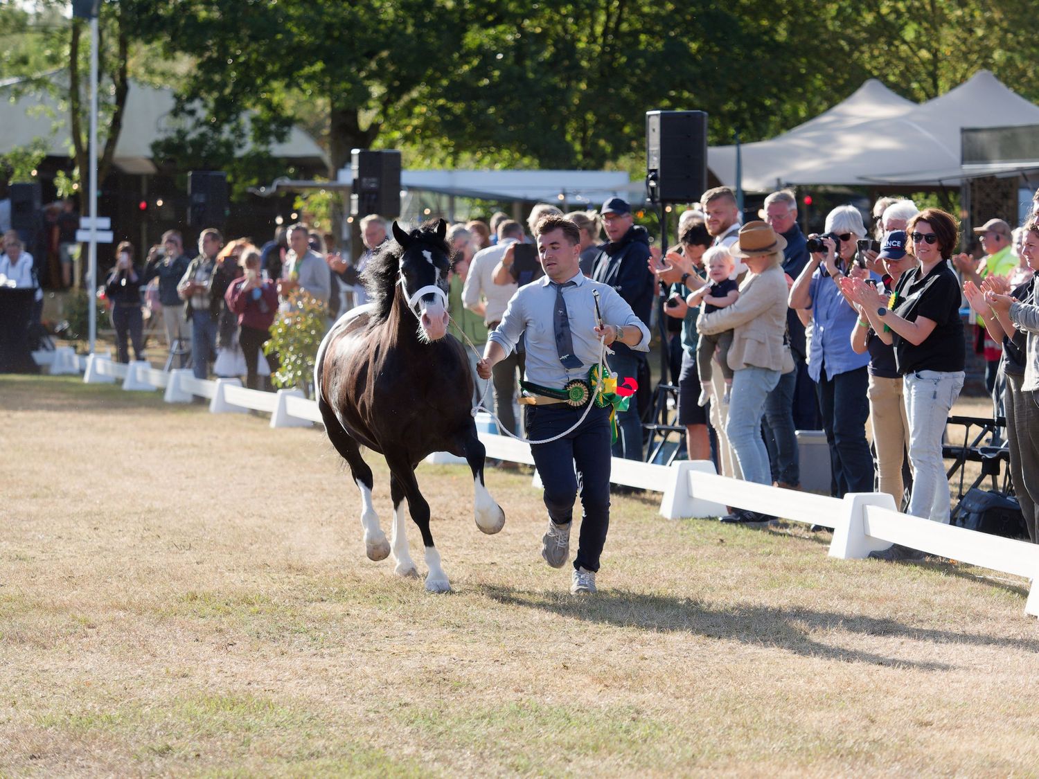 A handler runs alongside a dark horse at an outdoor show, with a crowd of spectators applauding in the background.