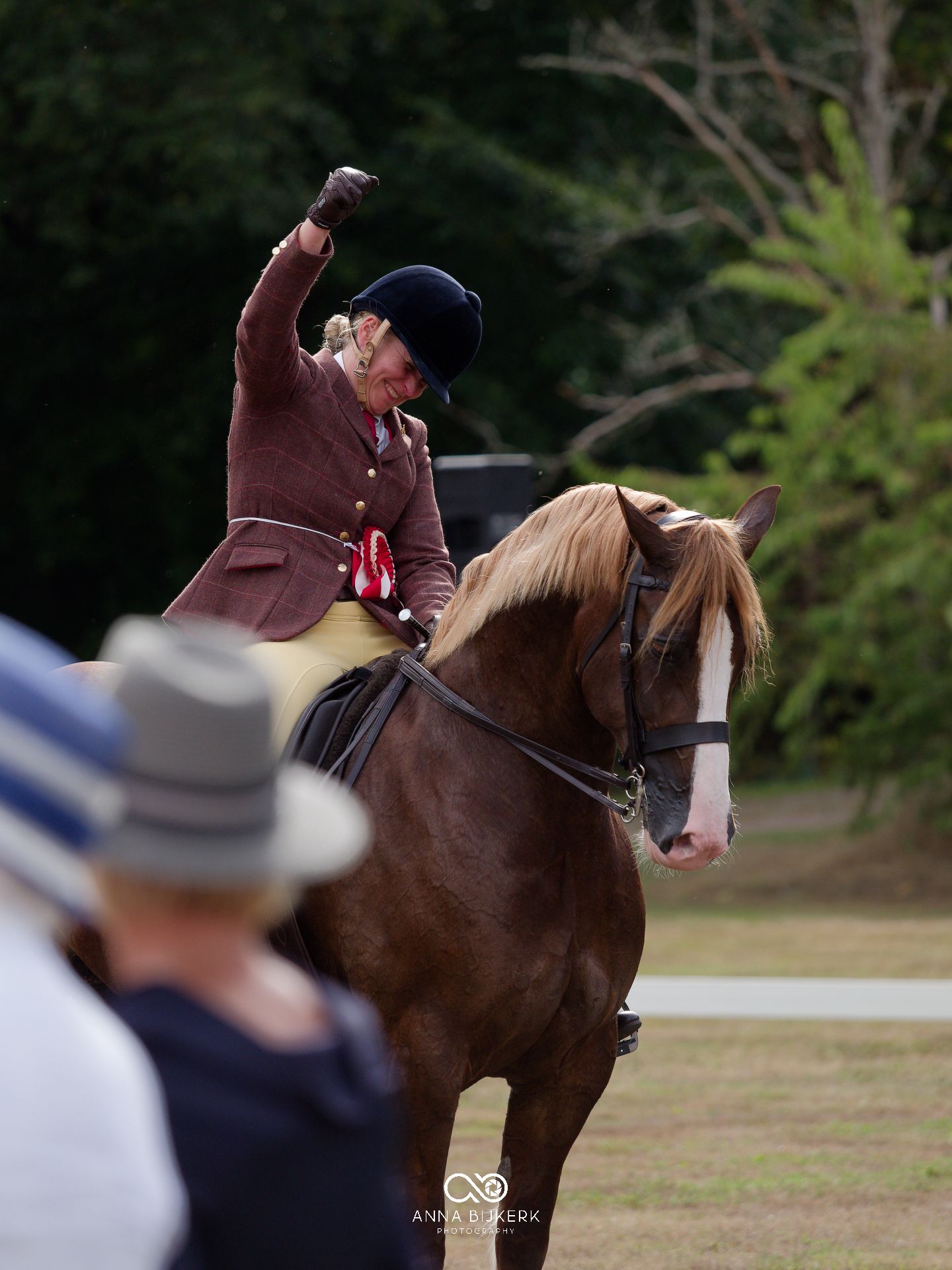 Equestrian rider in brown jacket raises fist in victory while riding chestnut horse at outdoor competition.