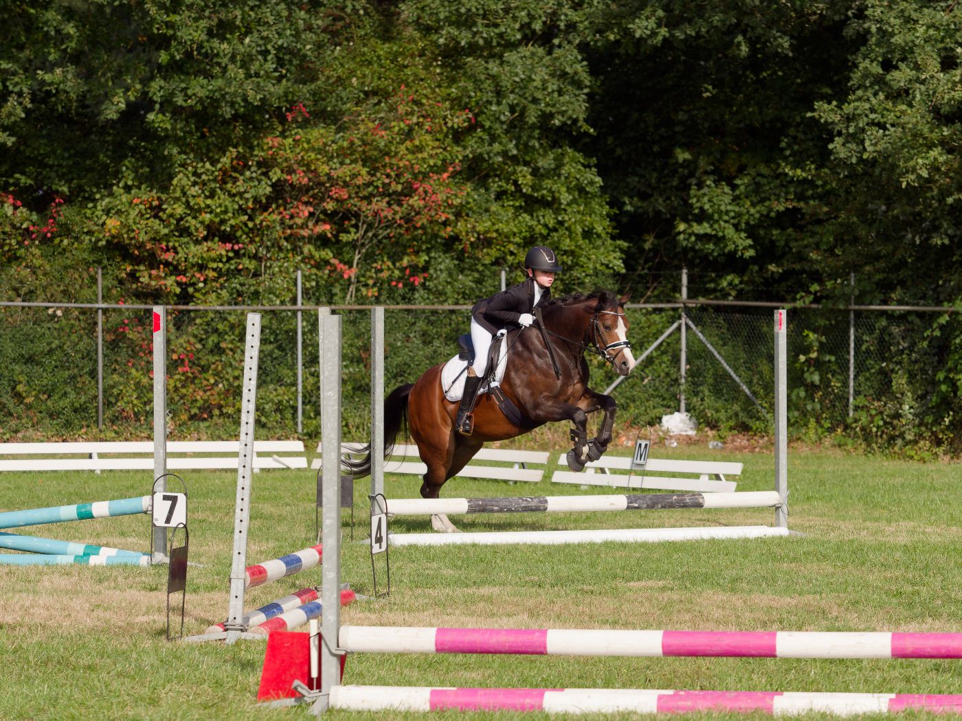 Show jumping course with multiple colorful obstacles arranged on grassy field during competition.