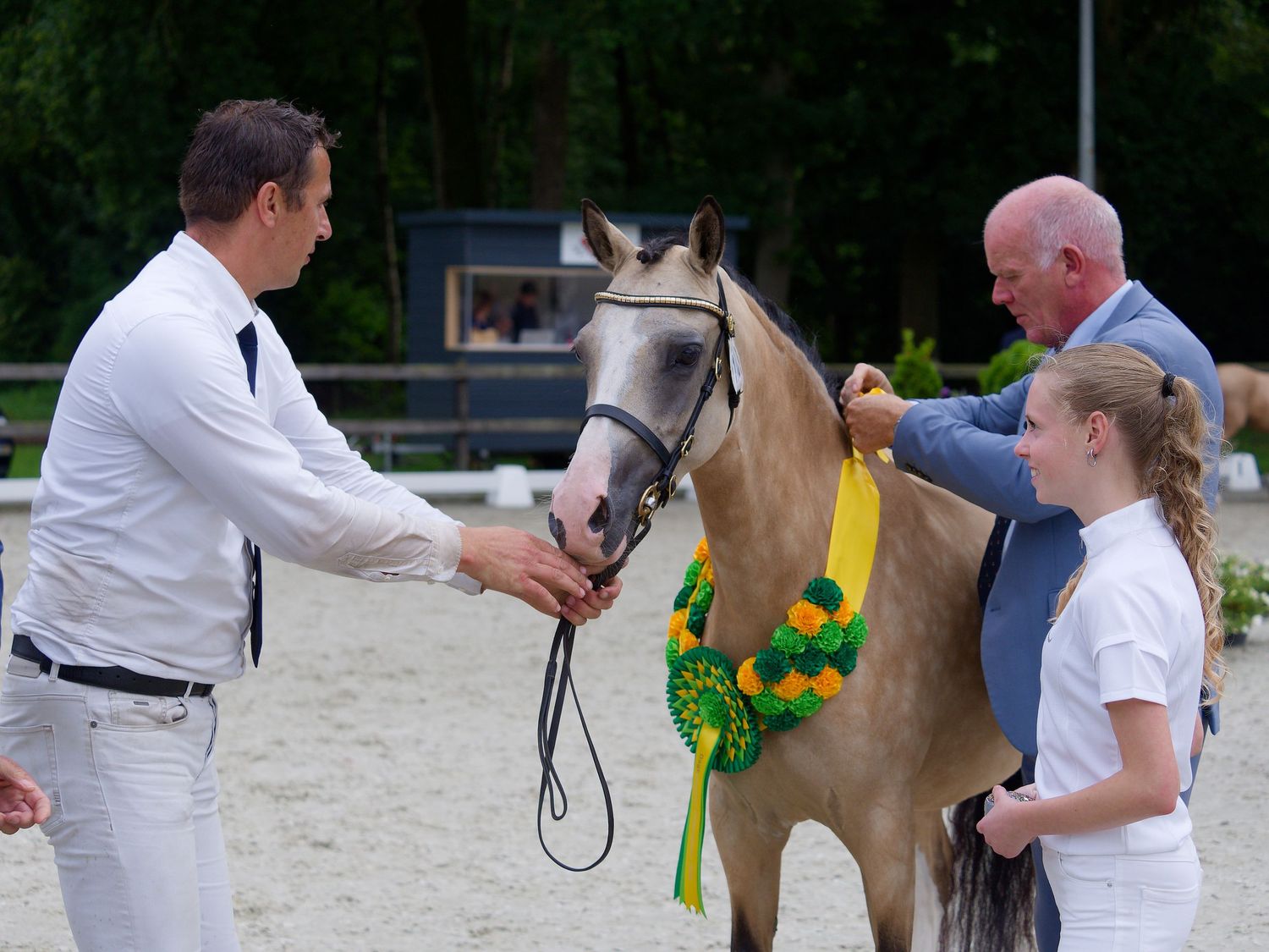 Handlers in white uniforms present horses with decorative ribbons at a competition.
