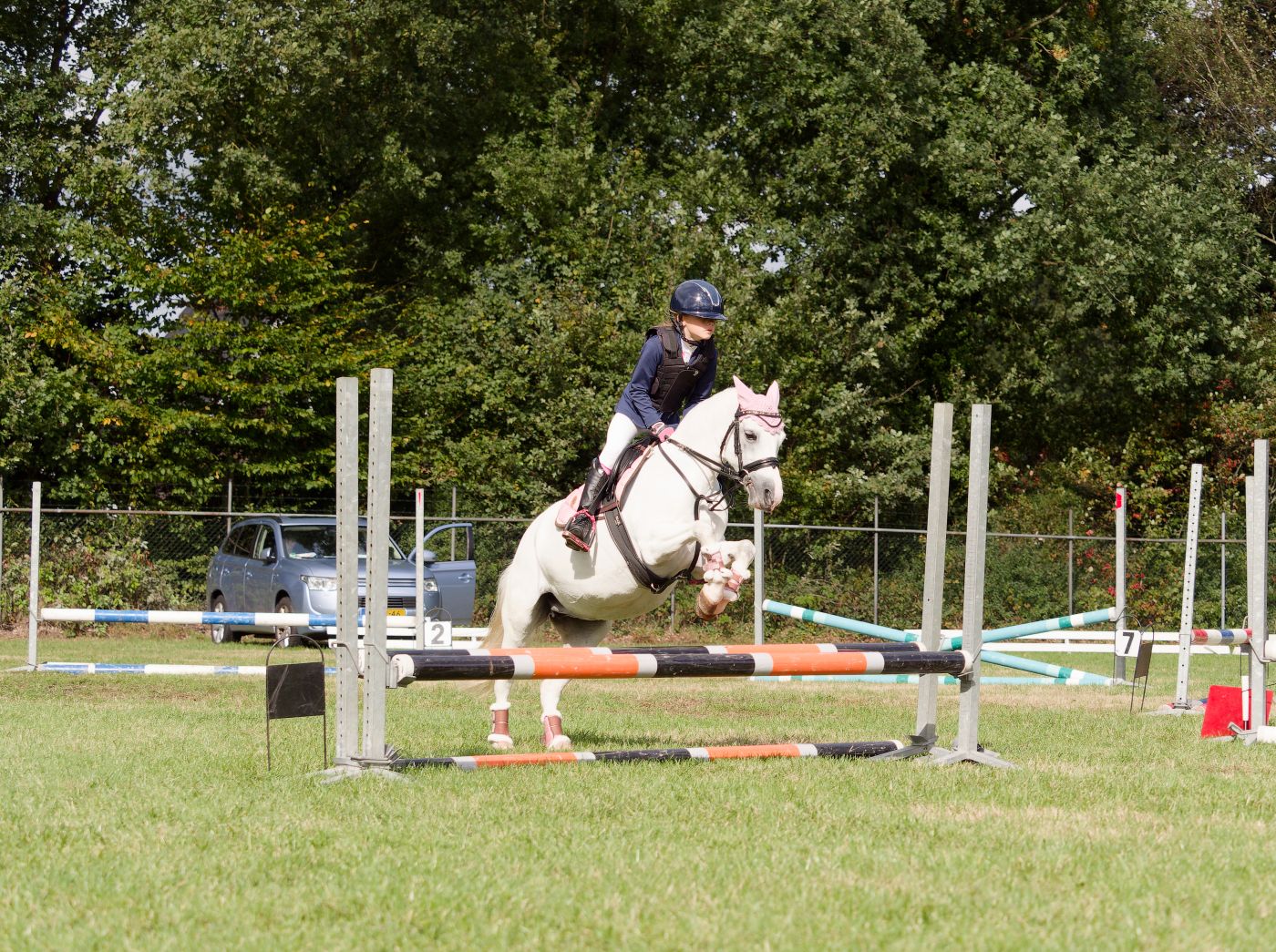Panoramic view of equestrian jumping arena with various colored obstacles and poles.