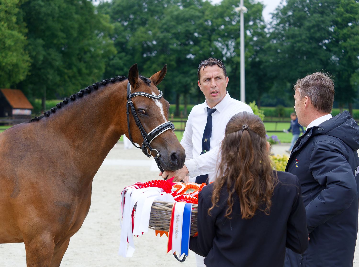 Handlers showcase horses at a formal equestrian event with red white and blue ribbons visible.